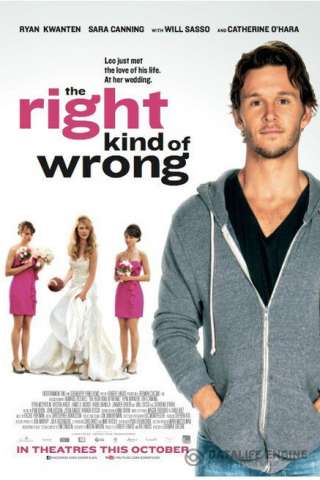 L'errore perfetto - The Right Kind of Wrong streaming