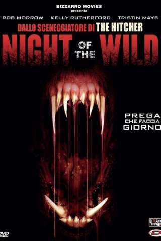 Night of the Wild streaming