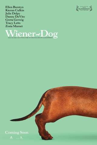 Wiener-Dog streaming