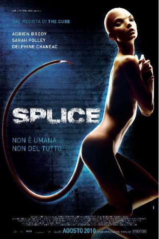 Splice streaming