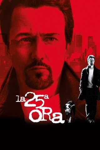 La 25ª ora streaming