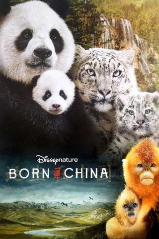 Born in China streaming