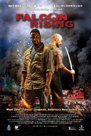 Falcon Rising streaming