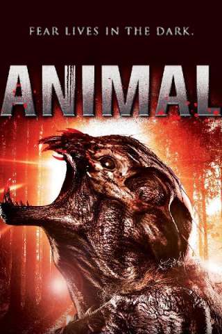 Animal - Il segreto della foresta streaming