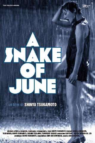 A Snake of June - Un serpente di giugno streaming