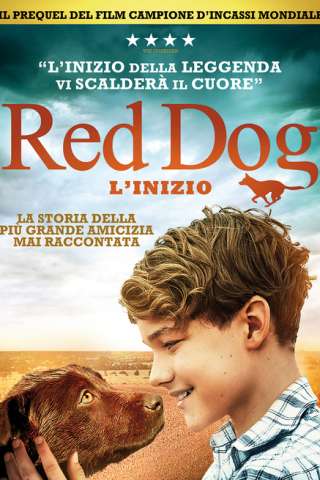 Red Dog: L'inizio streaming