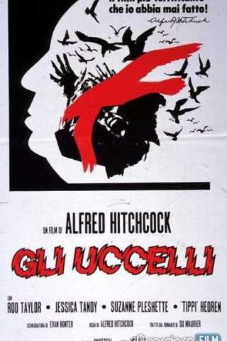 Gli uccelli streaming