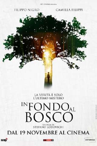 In fondo al bosco streaming