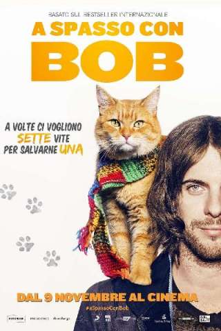 A spasso con Bob streaming