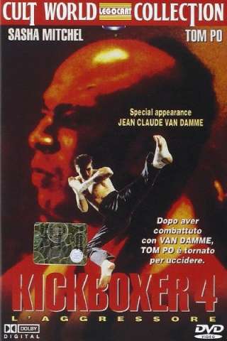 Kickboxer 4 - L'aggressore streaming