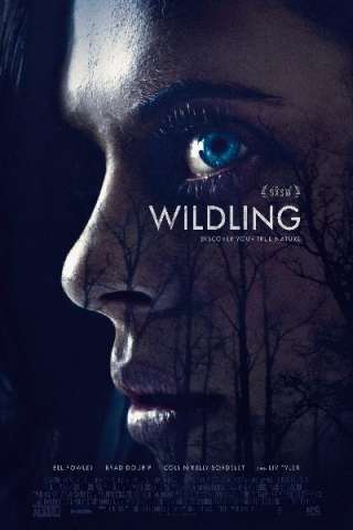 Wildling streaming