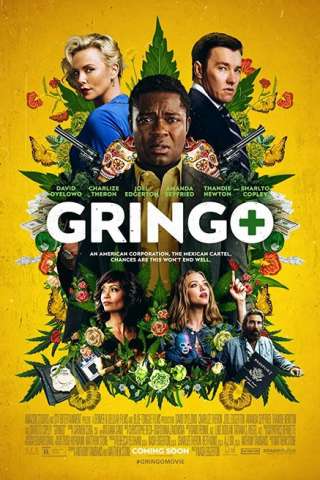 Gringo streaming