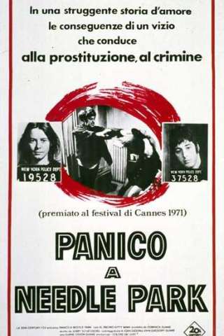 Panico a Needle Park streaming