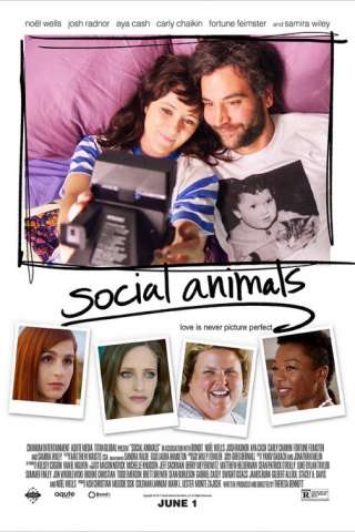 Social Animals streaming