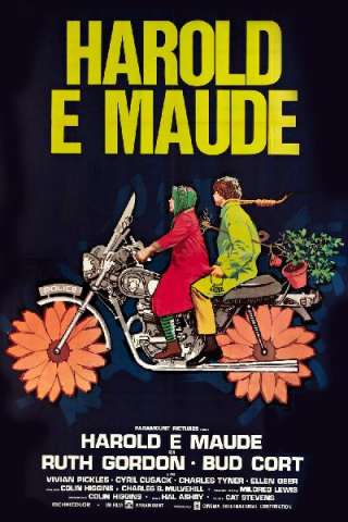 Harold e Maude streaming