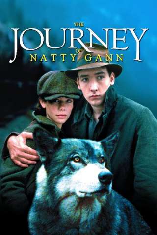 Il viaggio di Natty Gann streaming