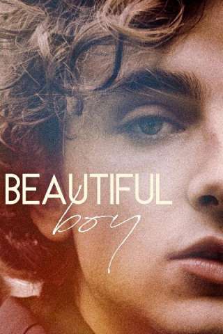 Beautiful Boy streaming