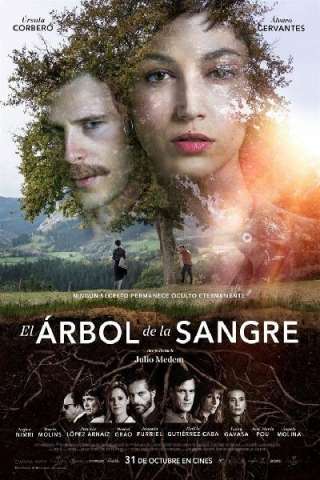 L'albero del sangue streaming