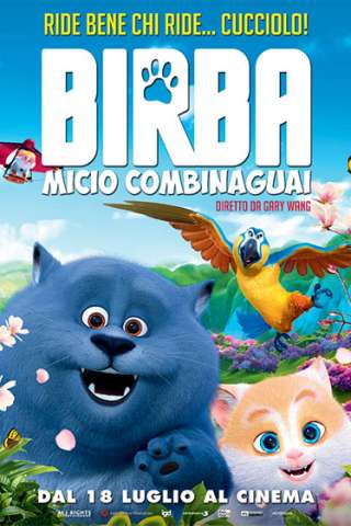 Birba - Micio combinaguai streaming