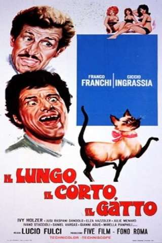 Il lungo, il corto, il gatto streaming