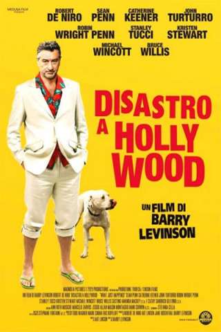 Disastro a Hollywood streaming