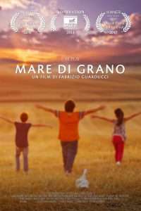 Mare di Grano streaming