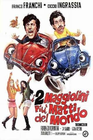 I due maggiolini più matti del mondo streaming