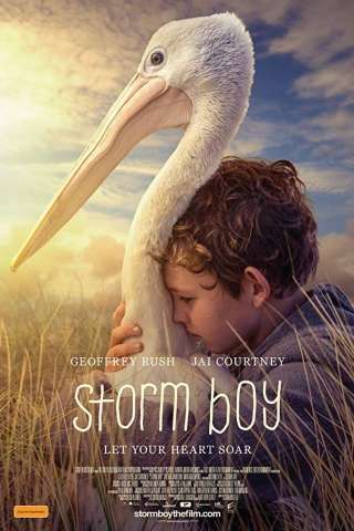 Storm Boy - Il ragazzo che sapeva volare streaming