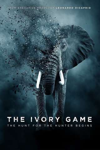 The Ivory Game streaming