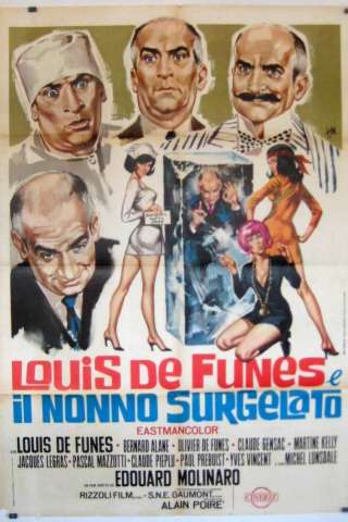 Louis de Funes e il nonno surgelato streaming