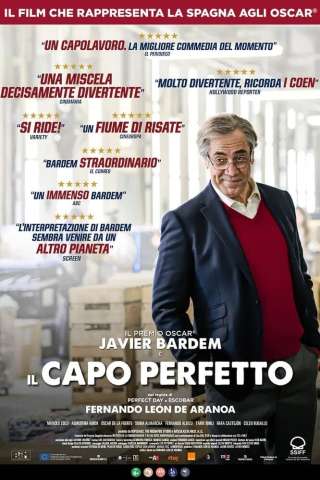 Il capo perfetto streaming