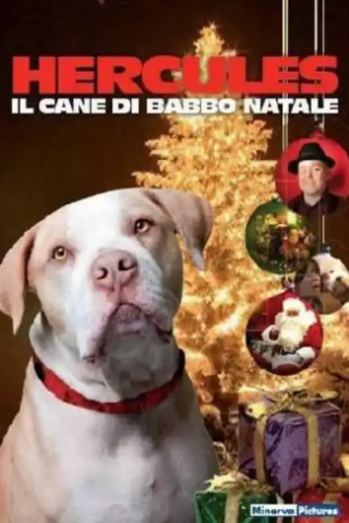 Hercules - Il Cane di Babbo Natale streaming