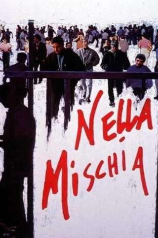 Nella mischia streaming