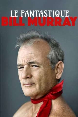 Essere Bill Murray streaming