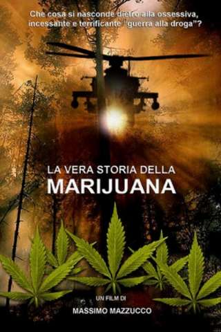 La vera storia della marijuana streaming