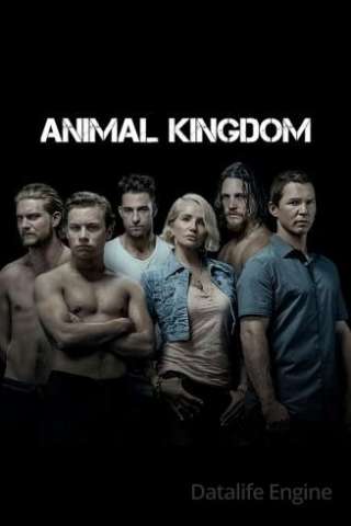 Animal Kingdom streaming