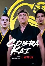 Cobra Kai streaming