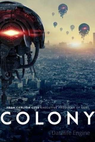 Colony streaming