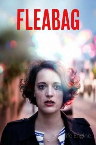 Fleabag streaming