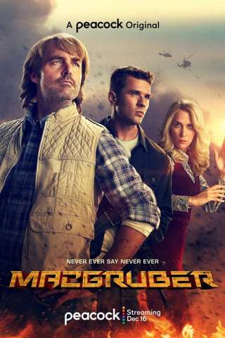 MacGruber streaming