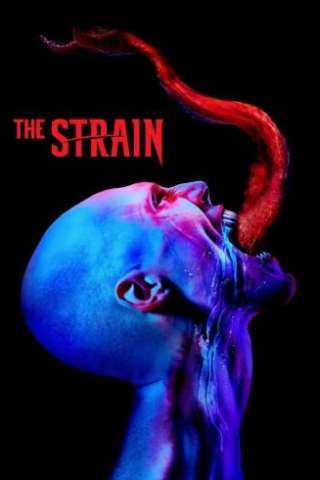 The Strain streaming