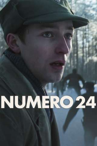 Numero 24 streaming